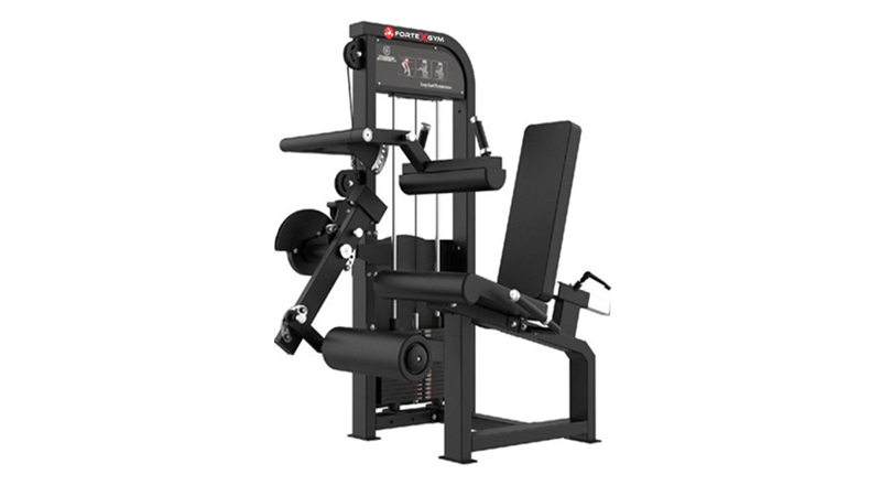 Extensión y Femoral Sentado FORTEXGYM