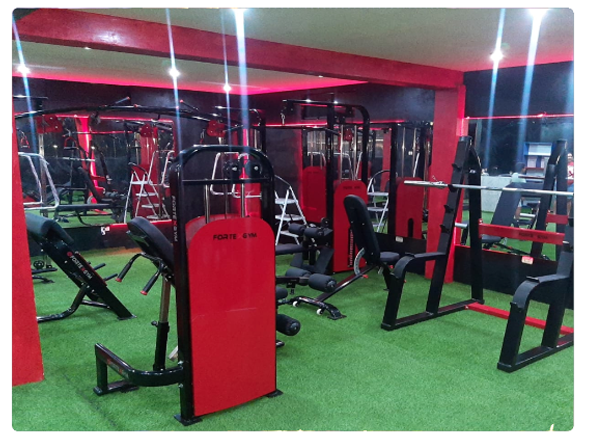 Proyecto de Gimnasio FORTEXGYM
