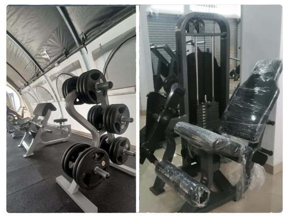 Proyecto de Gimnasio FORTEXGYM