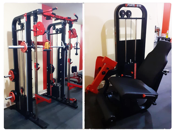 Proyecto de Gimnasio FORTEXGYM